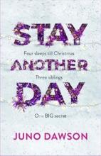 Stay another Day book cover