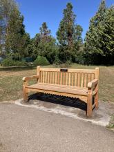 Wooden bench with plaque on paved slabs