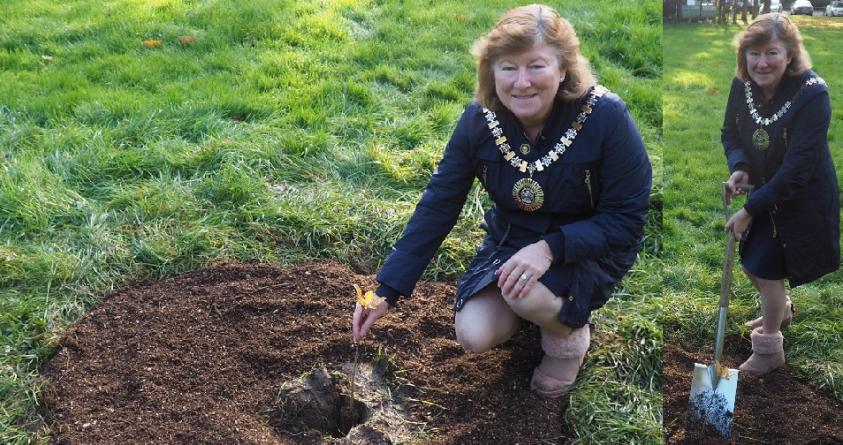 The Worshipful Mayor of Barnet, Cllr Alison Cornelius, plants a small oak tree in Hendon’s Sunny Hill Park ahead of Queen Elizabeth II’s Platinum Jubilee.